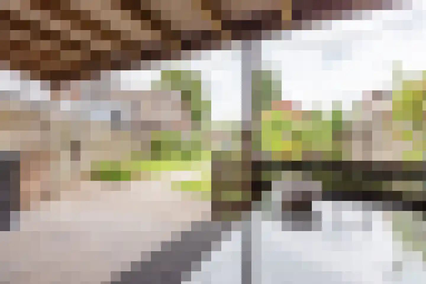 Kerkpad 55 Dinxperlo thumbnail 39