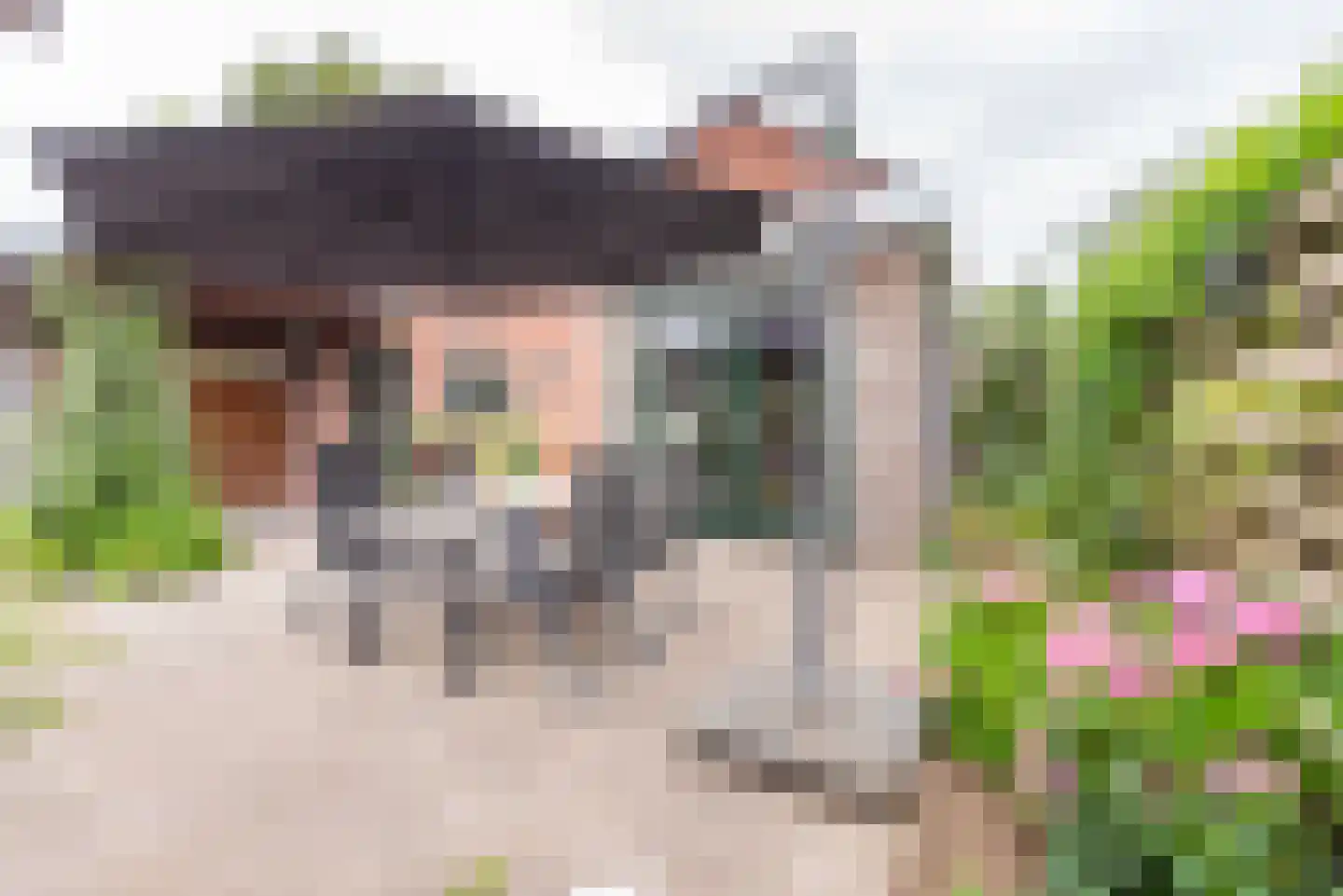Kerkpad 55 Dinxperlo thumbnail 42