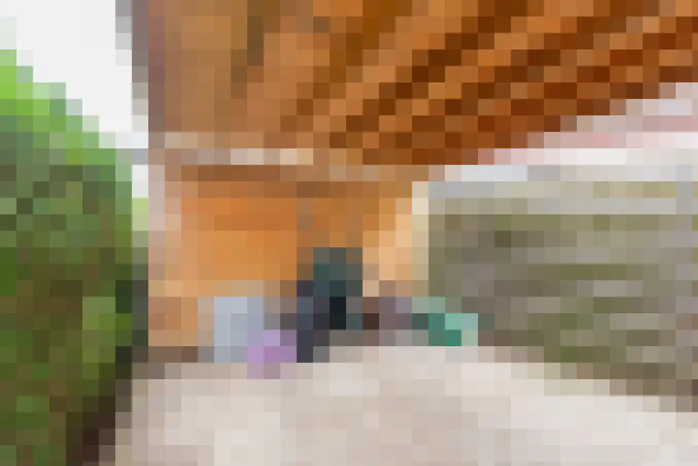 Kerkpad 55 Dinxperlo thumbnail 44