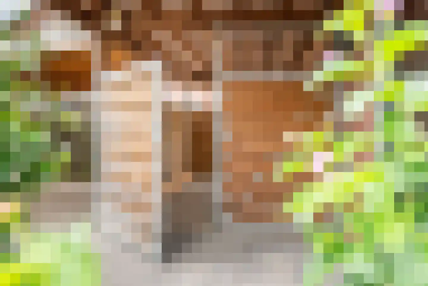 Kerkpad 55 Dinxperlo thumbnail 45