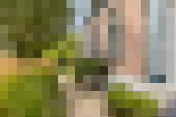 Kerkpad 6 Nijmegen thumbnail 10