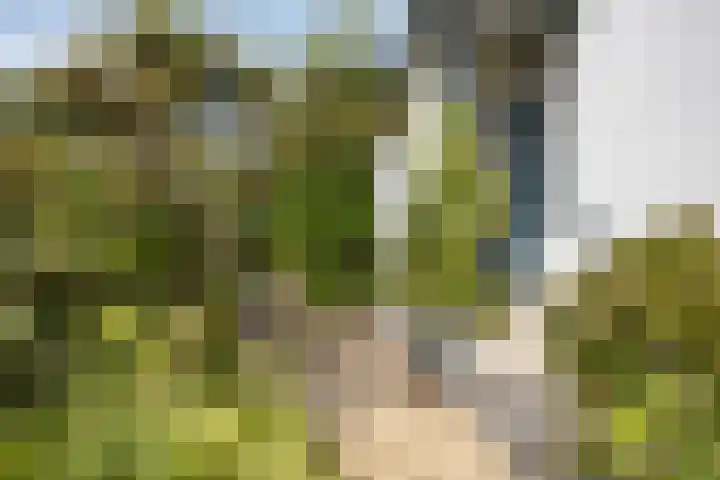 Kerkpad 6 Nijmegen thumbnail 46
