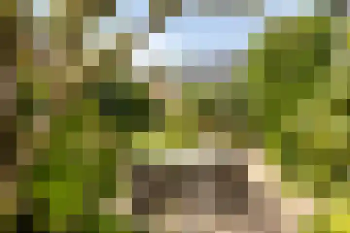 Kerkpad 6 Nijmegen thumbnail 47