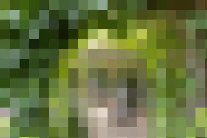 Kerkpad 6 Nijmegen thumbnail 48