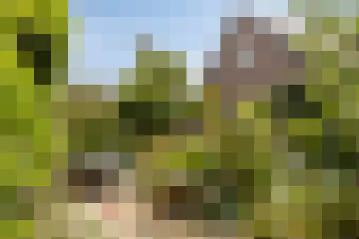 Kerkpad 6 Nijmegen thumbnail 49