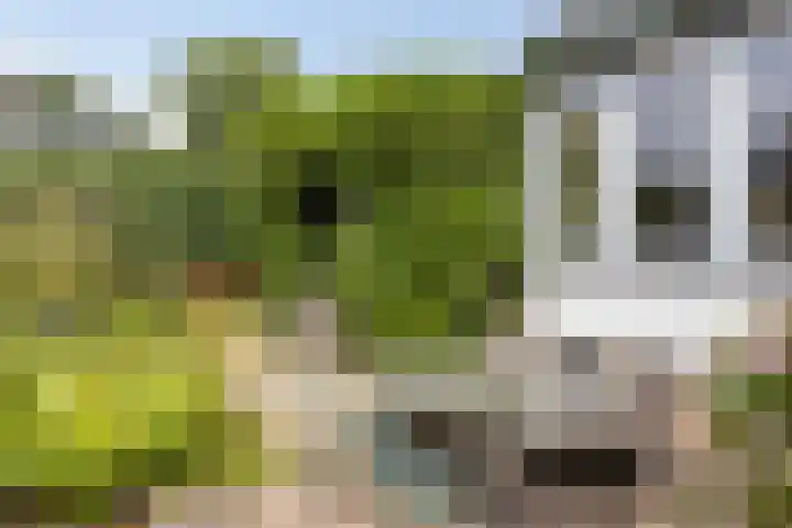 Kerkpad 6 Nijmegen thumbnail 51