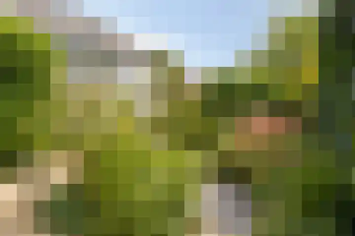 Kerkpad 6 Nijmegen thumbnail 52