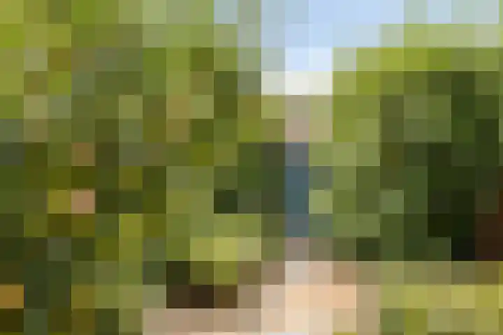 Kerkpad 6 Nijmegen thumbnail 54