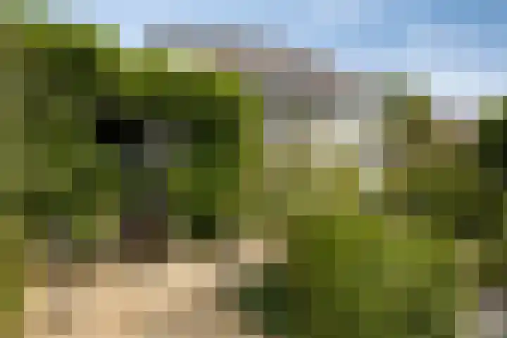 Kerkpad 6 Nijmegen thumbnail 6