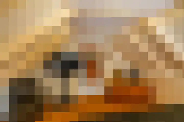 Kerkpad 6 Termunten thumbnail 24