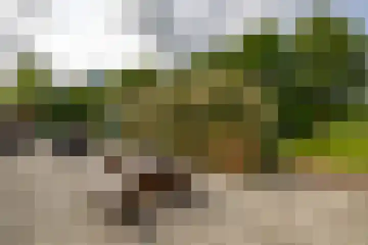 Kerkpad 6 Termunten thumbnail 33
