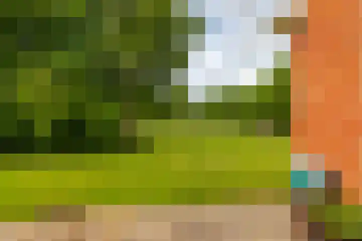 Kerkpad 6 Termunten thumbnail 34