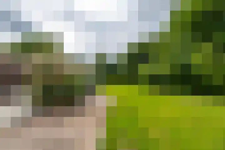Kerkpad 6 Termunten thumbnail 35