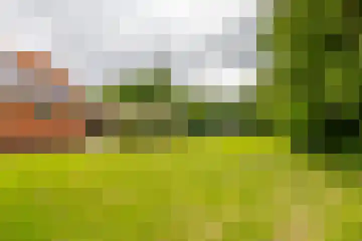 Kerkpad 6 Termunten thumbnail 36