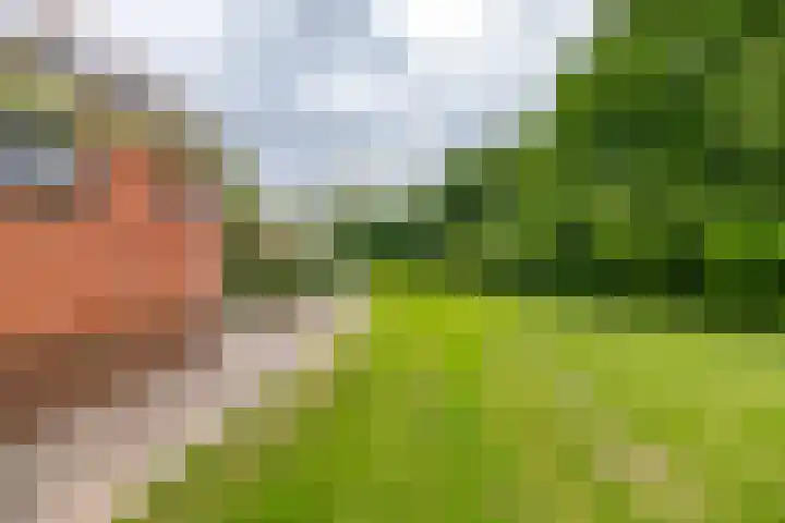 Kerkpad 6 Termunten thumbnail 37