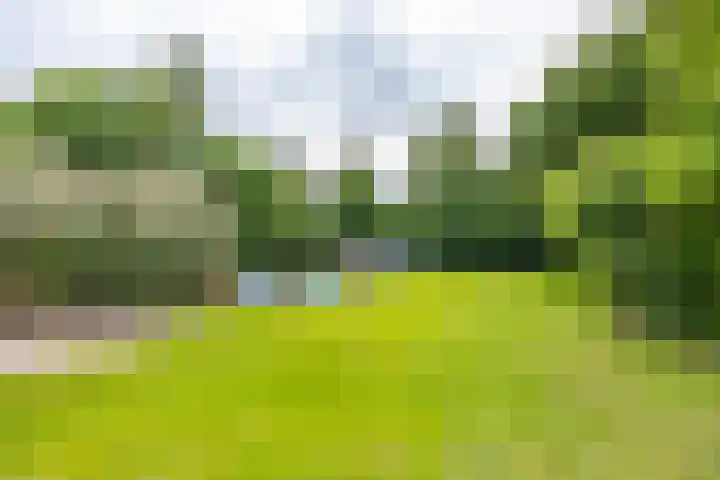 Kerkpad 6 Termunten thumbnail 38