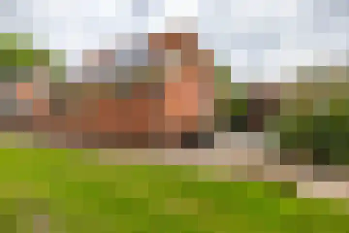 Kerkpad 6 Termunten thumbnail 43