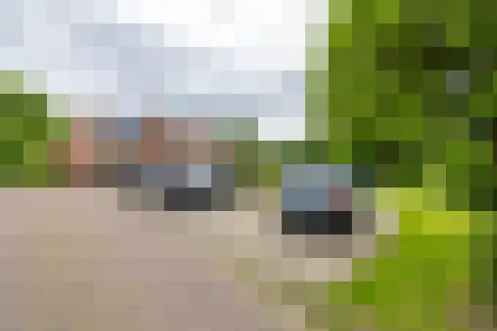 Kerkpad 6 Termunten thumbnail 45