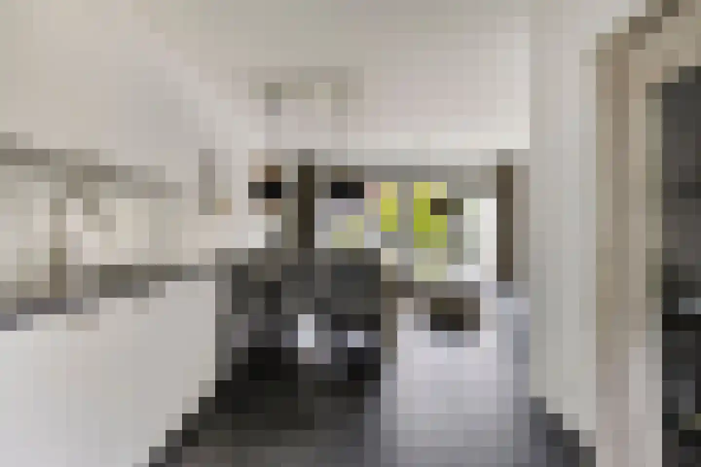 Kerkpad 71 Venhorst thumbnail 15