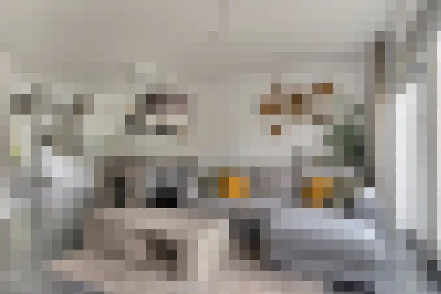 Kerkpad 71 Venhorst thumbnail 17