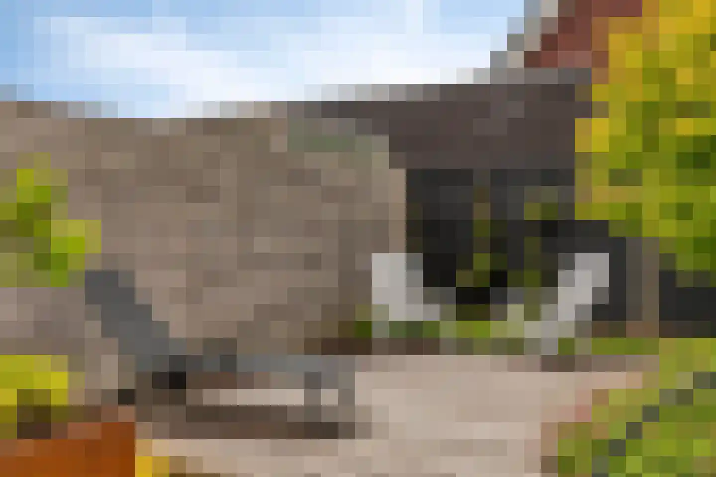 Kerkpad 71 Venhorst thumbnail 31