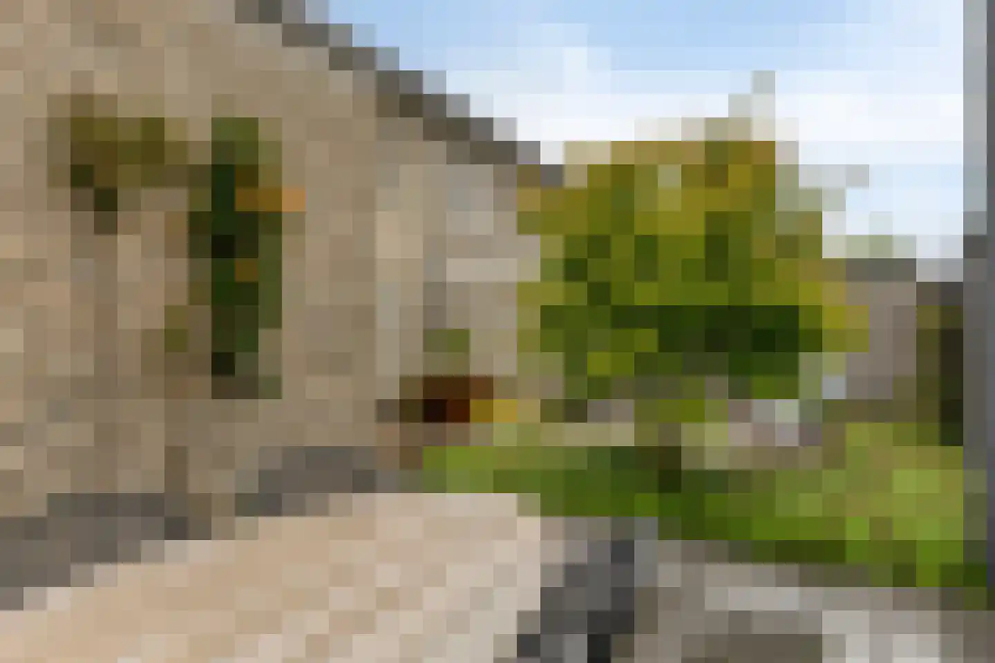 Kerkpad 71 Venhorst thumbnail 33