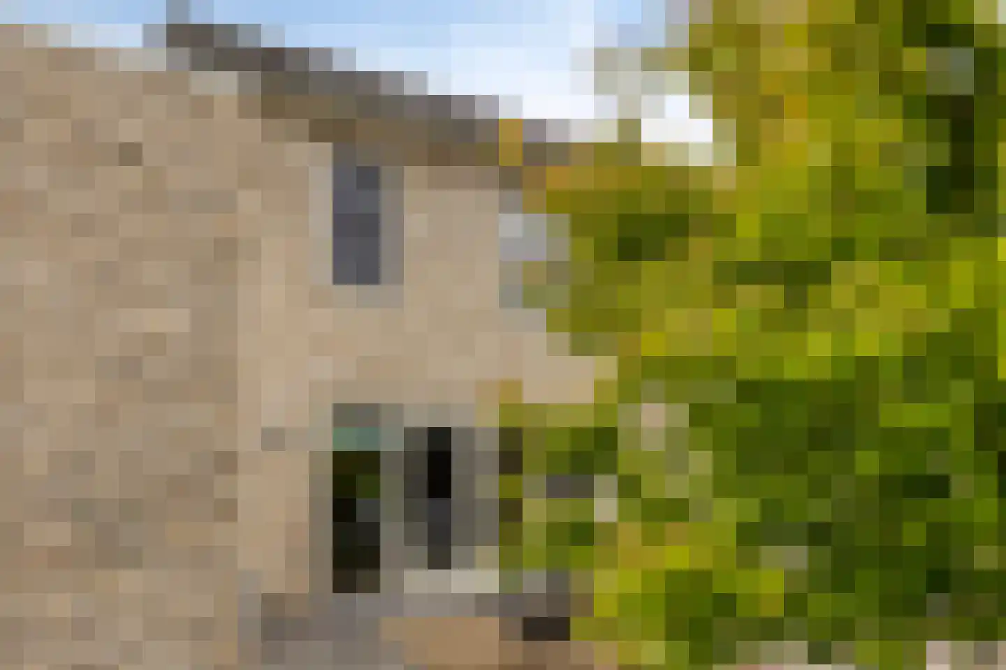 Kerkpad 71 Venhorst thumbnail 34