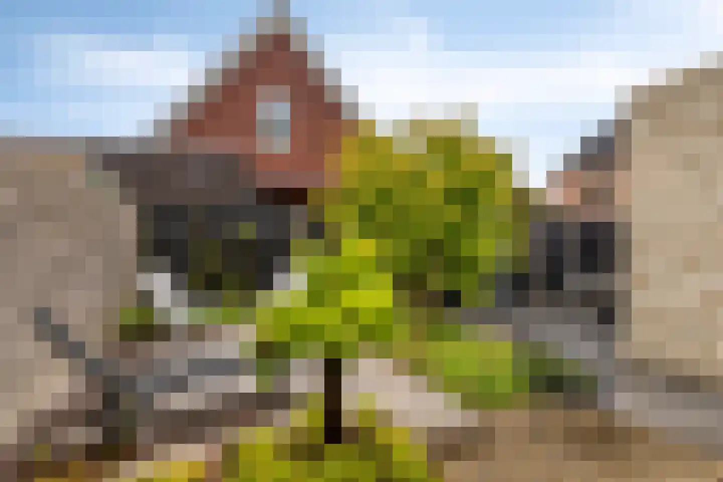 Kerkpad 71 Venhorst thumbnail 5
