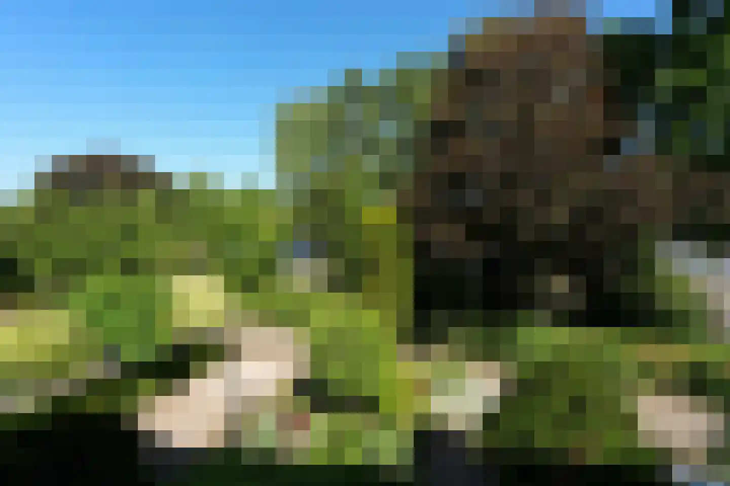 Kerkpad 73 Nijmegen thumbnail 30