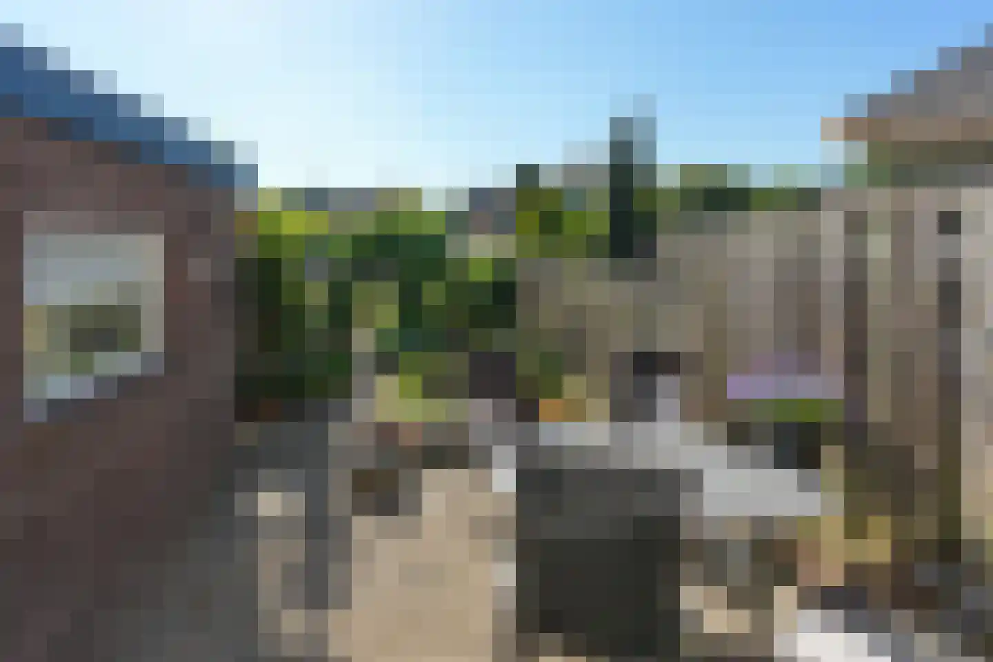 Kerkpad 73 Nijmegen thumbnail 51