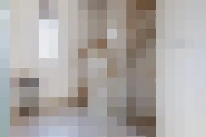 Kerkpad 8 Bergeijk thumbnail 25