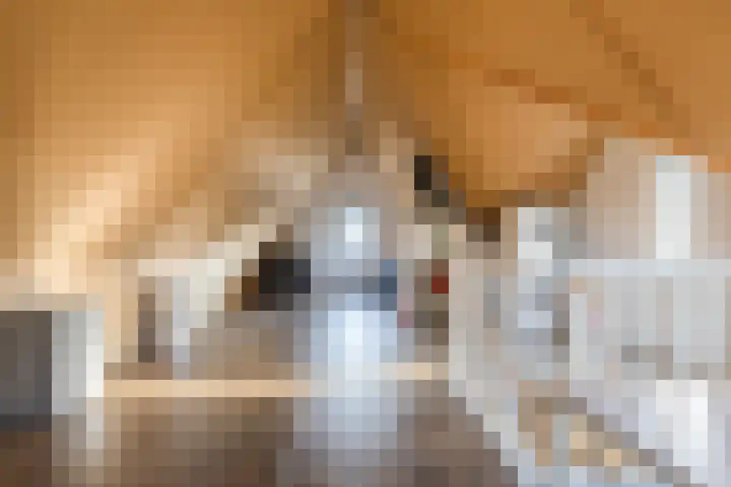 Kerkpad 8 Bergeijk thumbnail 26