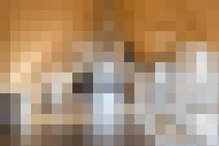 Kerkpad 8 Bergeijk thumbnail 26