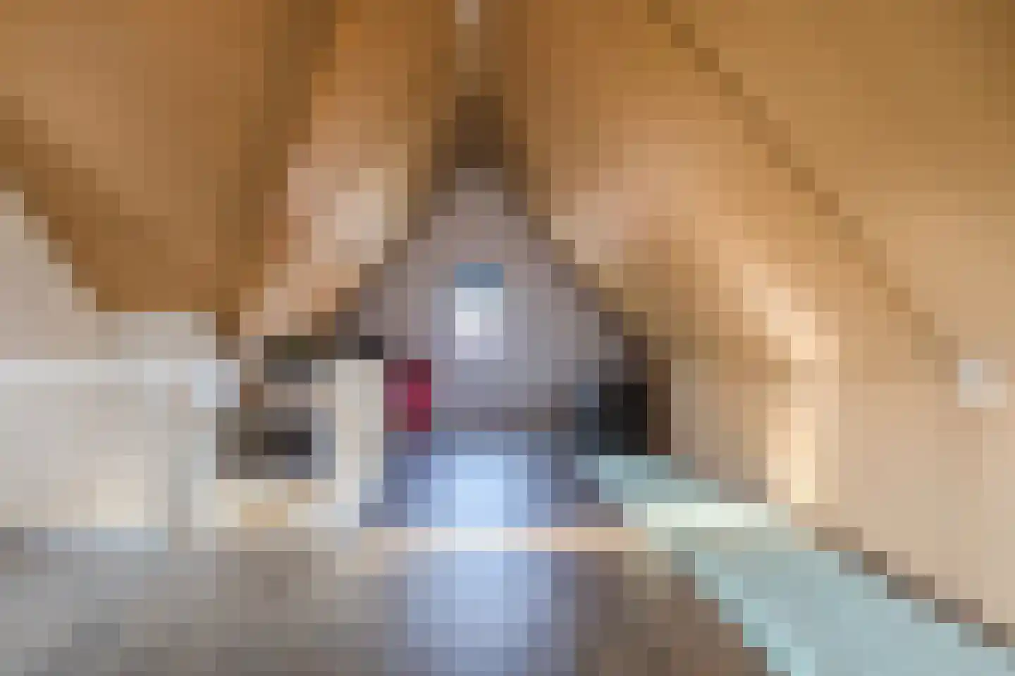 Kerkpad 8 Bergeijk thumbnail 27
