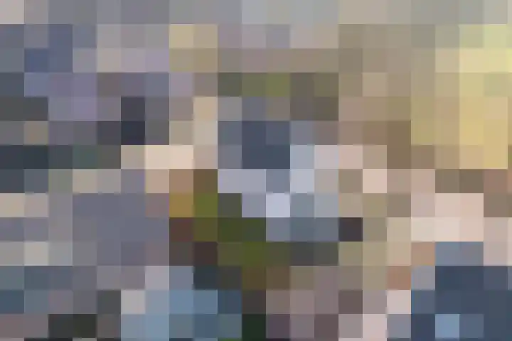 Kerkpad 8 Bergeijk thumbnail 28