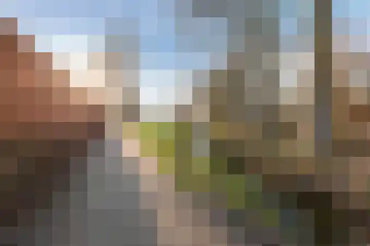 Kerkpad 8 Bergeijk thumbnail 38