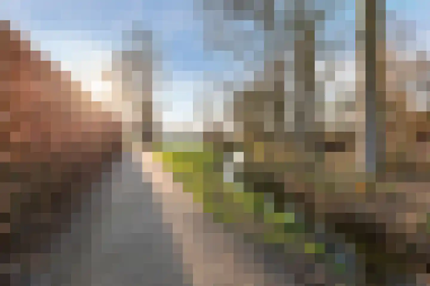 Kerkpad 8 Bergeijk thumbnail 38