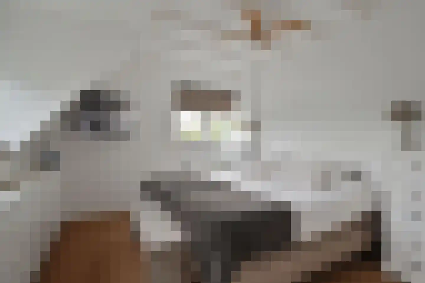 Kerkpad 8 Blaricum thumbnail 13