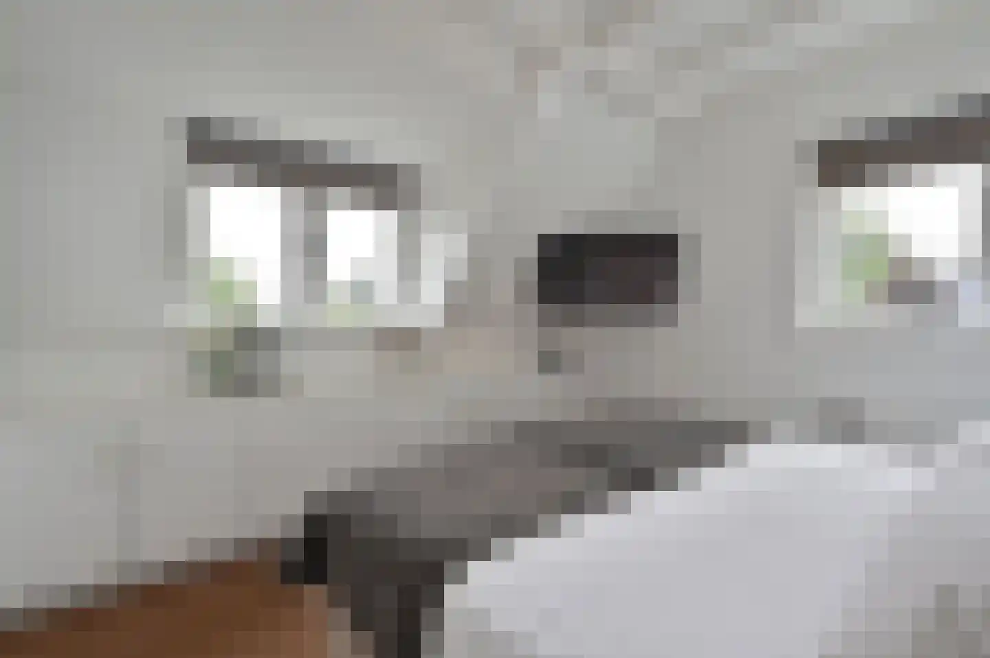 Kerkpad 8 Blaricum thumbnail 14