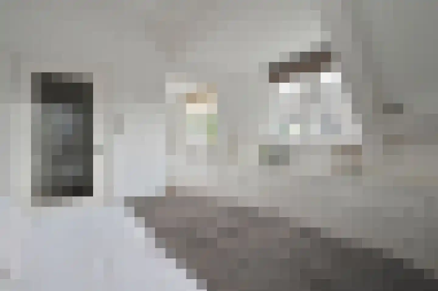 Kerkpad 8 Blaricum thumbnail 15