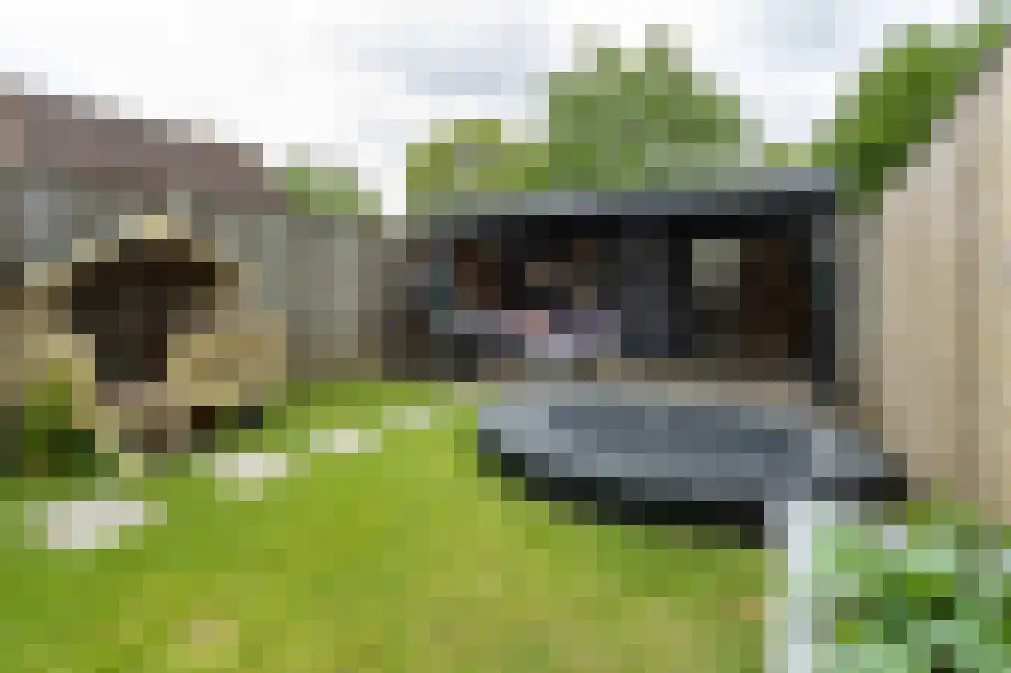 Kerkpad 8 Groesbeek thumbnail 39