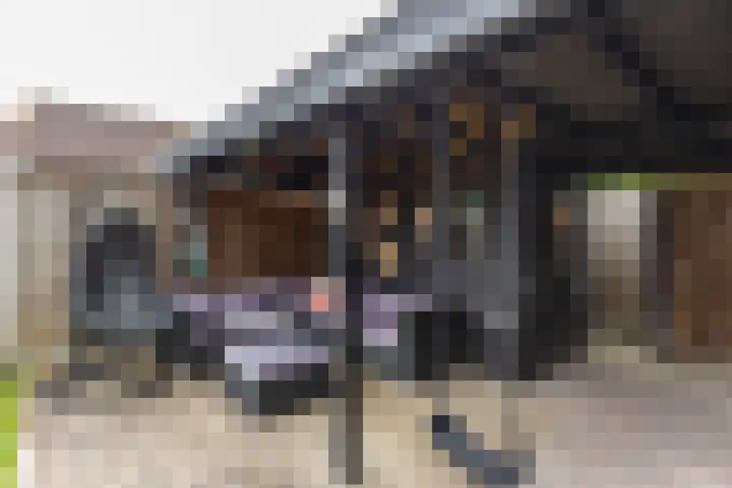 Kerkpad 8 Groesbeek thumbnail 40