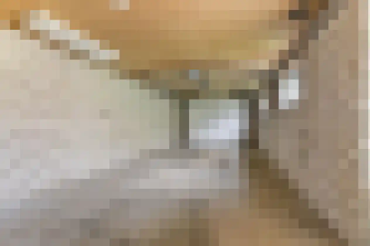Kerkpad 9 Swalmen thumbnail 24