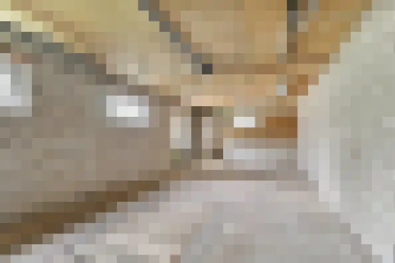 Kerkpad 9 Swalmen thumbnail 25
