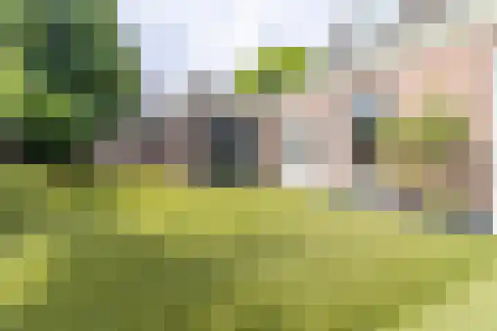 Kerkpad NZ 10 Soest thumbnail 16