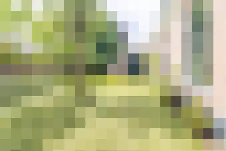 Kerkpad NZ 10 Soest thumbnail 17