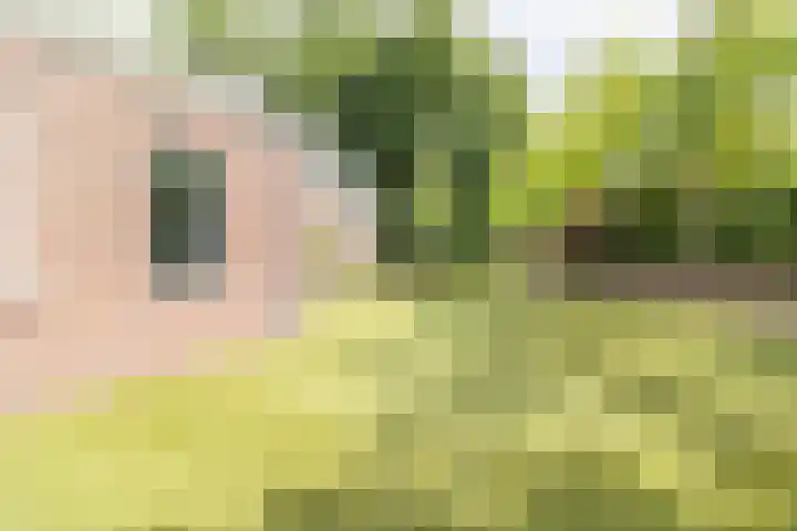 Kerkpad NZ 10 Soest thumbnail 18