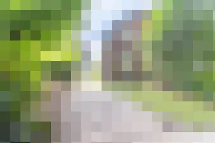 Kerkpad NZ 10 Soest thumbnail 26