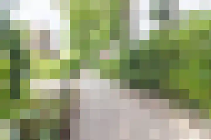 Kerkpad NZ 10 Soest thumbnail 27