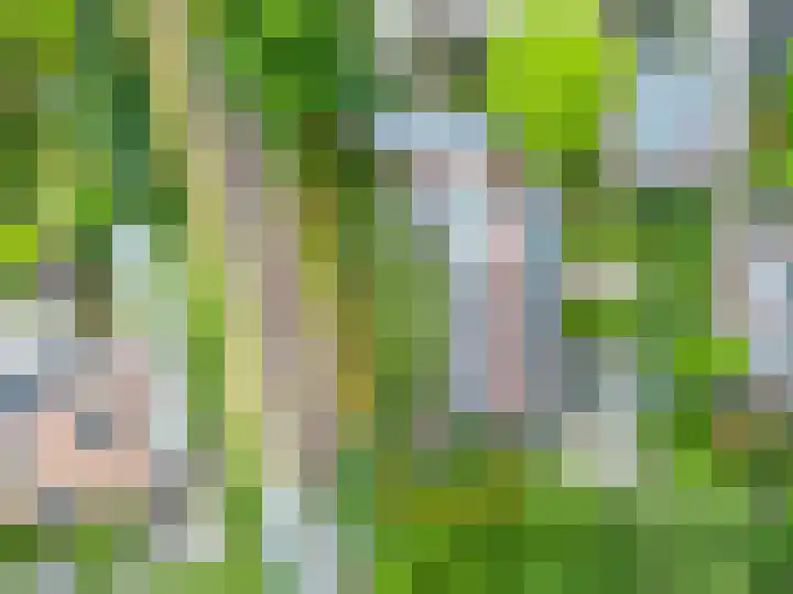 Kerkpad NZ 10 Soest thumbnail 28